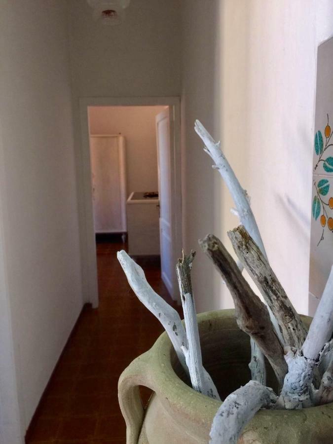 Casa Lividonia Leilighet Porto Santo Stefano  Eksteriør bilde